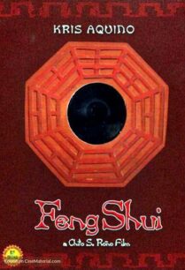 Feng Shui (2004) ฮวงจุ้ย