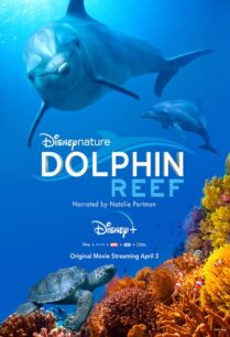 Dolphin Reef (2020) อัศจรรย์ชีวิตของโลมา