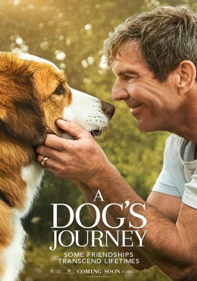 A Dog’s Journey (2019) หมา เป้าหมาย และเด็กชายของผม ภาค 2