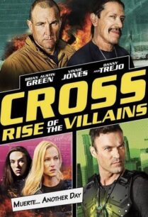 Cross Rise of the Villains (2019) ครอสส์ ศึกประจัญบานวันกู้โลก