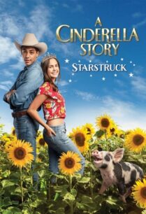 A Cinderella Story Starstruck (2021)