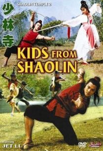 The Shaolin Temple 2 (1984) เสี้ยวลิ้มยี่ ภาค 2